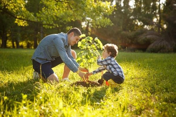 With coronavirus funeral restrictions in place, planting a tree in honour of a loved one can help remember them in a personal way.