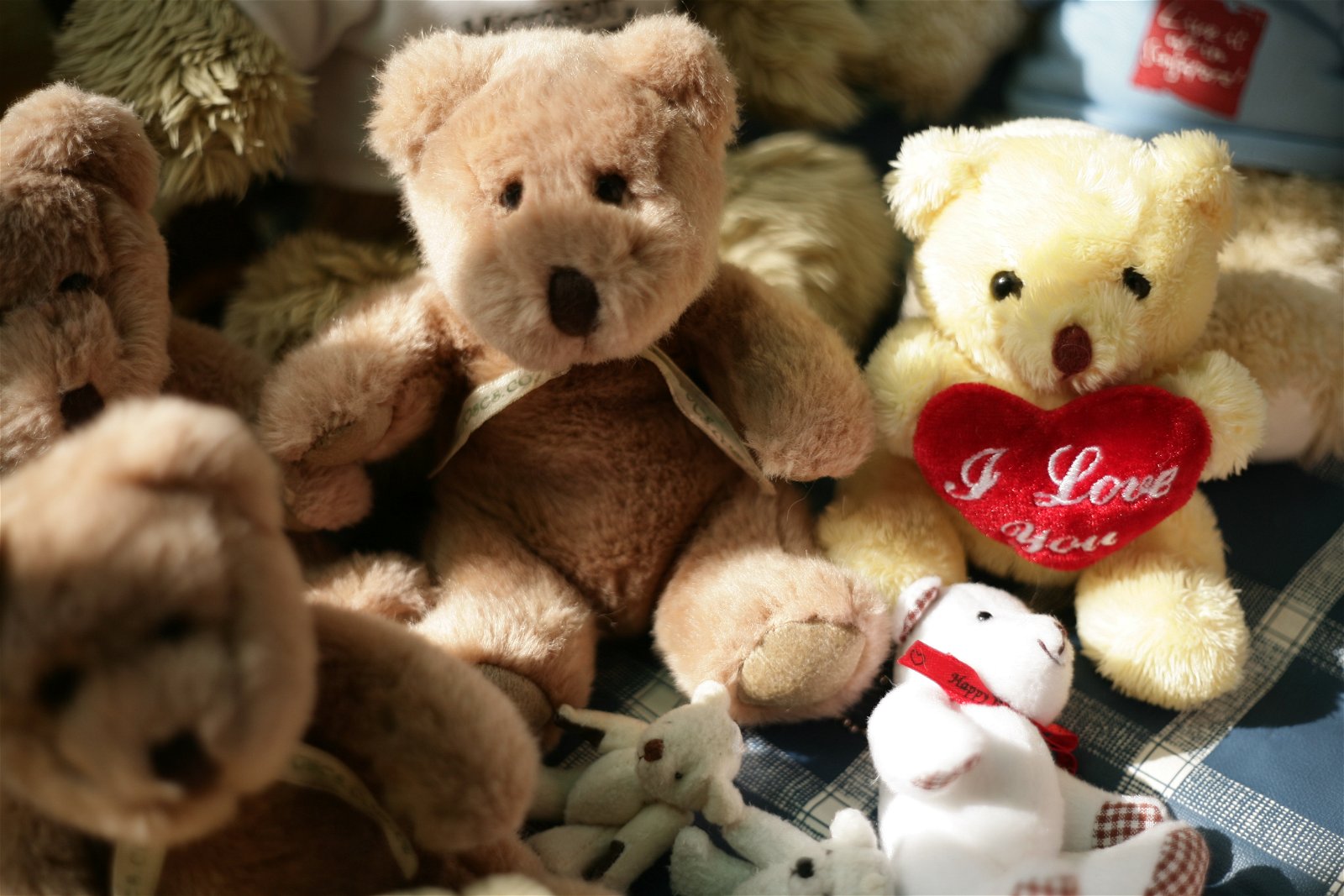 A woman's teddy bear collection was used to personalise her memorial