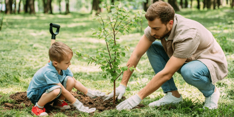 A memorial tree planting ceremony that celebrates their life while creating a living memory