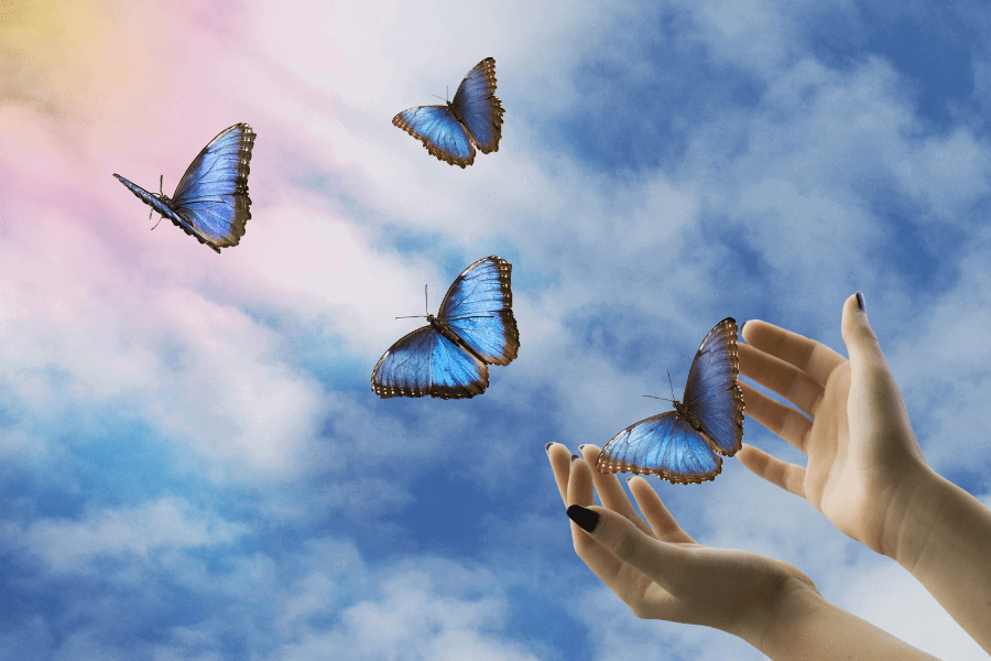 Butterfly release memorial service idea